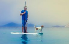 Mann mit Hund auf SUP beim Standup-Paddling beim segeln in Korfu mit Korfu Segeln