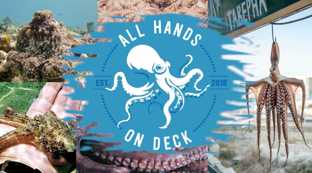 Oktopus: All Hands on Deck, Grafik mit einigen Oktopussen und dem neuen T-Shirt Design in der Mitte