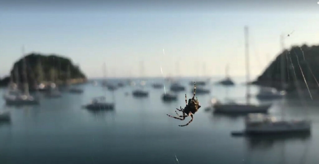 Richtig Ankern in Griechenland beim Skippertraining mit dem Netz der Spinne